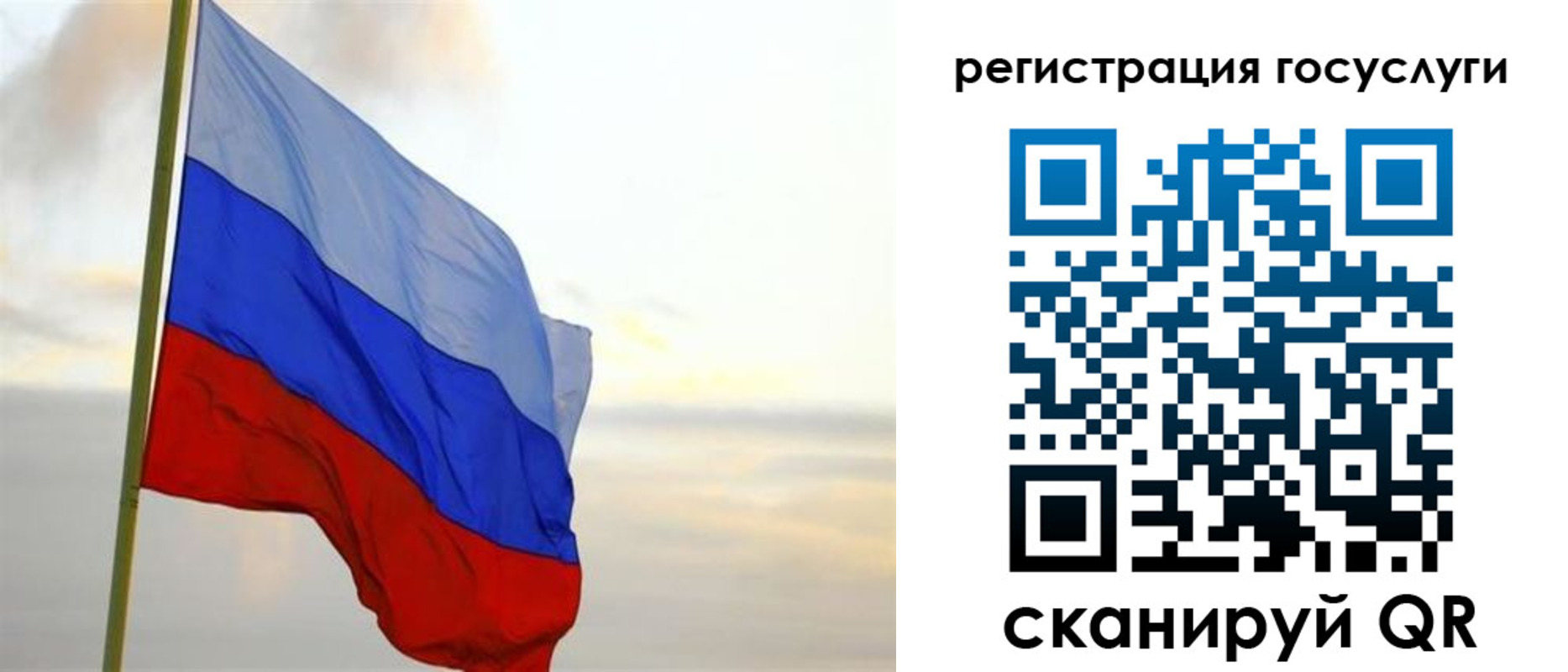 форма 3 в Кохме